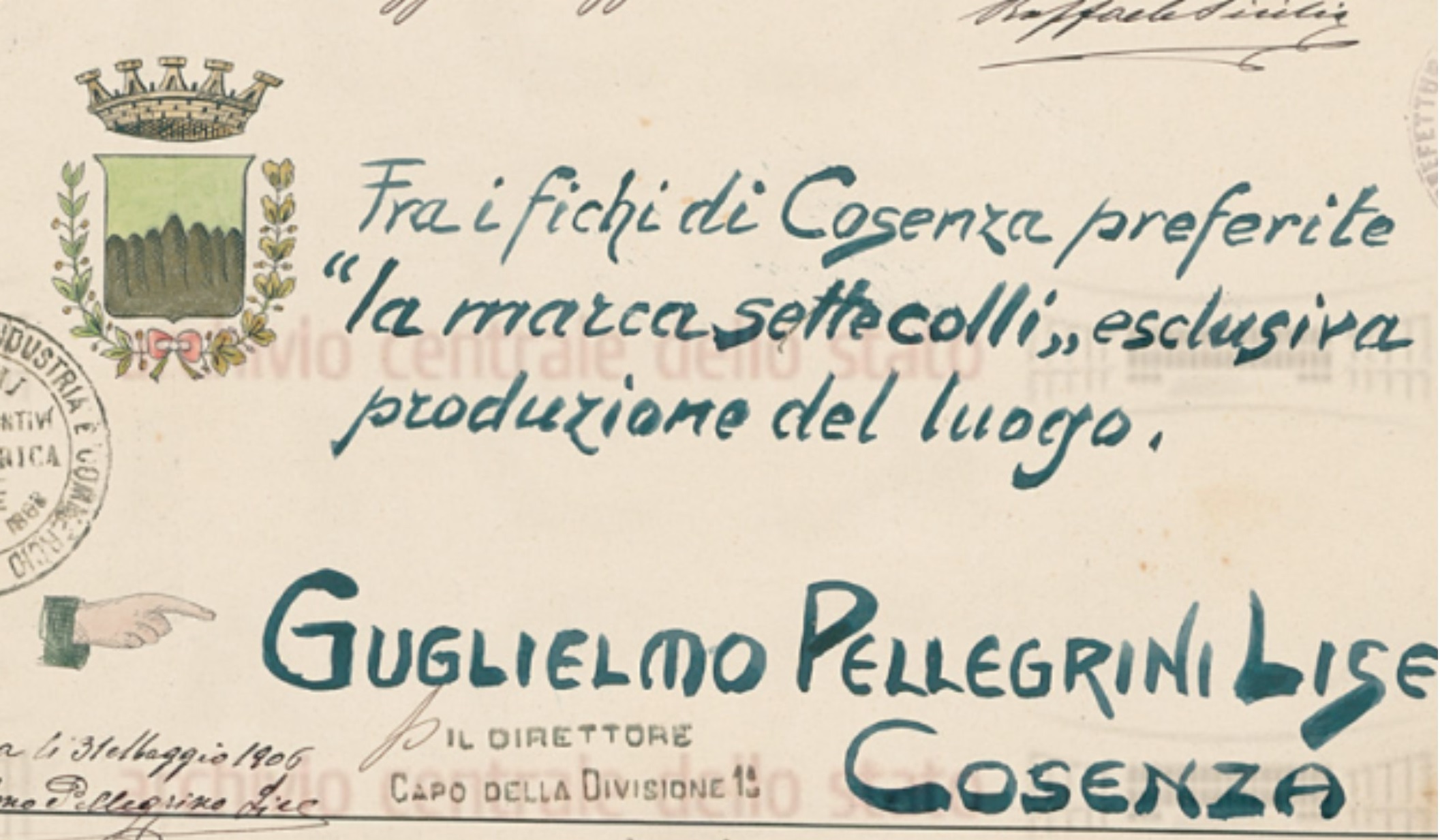 Guglielmo Pellegrini Lise, Cosenza,1906