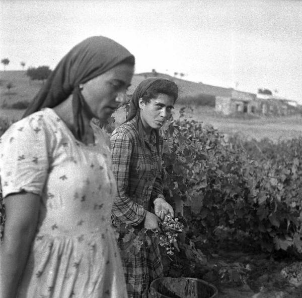 Donne calabresi impegnate nei campi a Melissa (foto Gerhald Rohlfs)