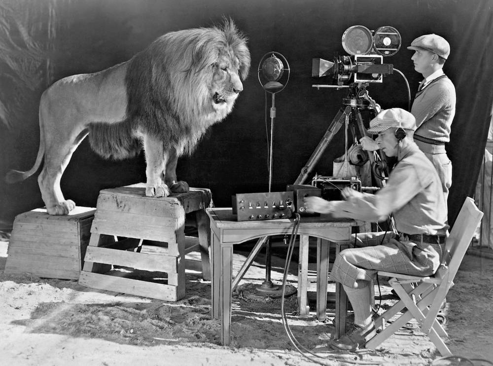 Lion of Metro-Goldwyn-Mayer, 1929 (b/w photo)